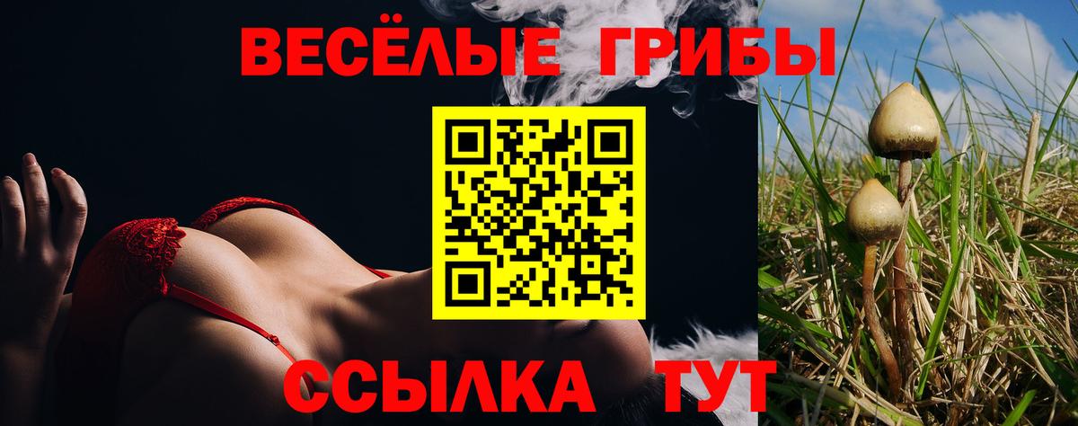 Галлюциногенные грибы Cubensis Кисловодск